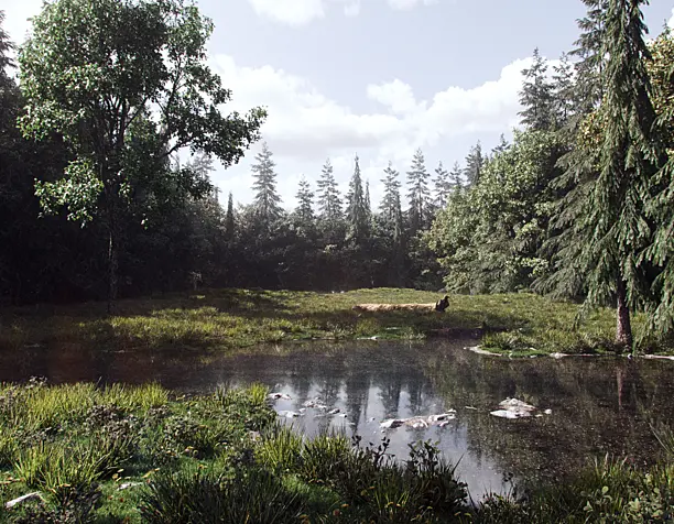 The Forest