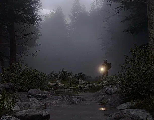 forest.