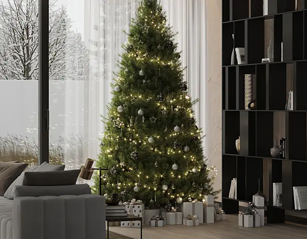 Merry Christmas and Happy New Year