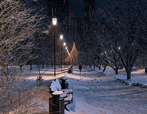 31 декабря / December 31