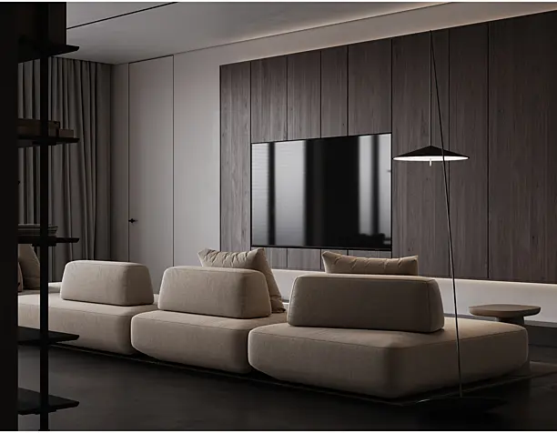 Сonceptual living room