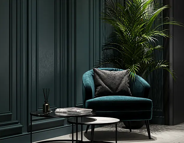 Furniture show room