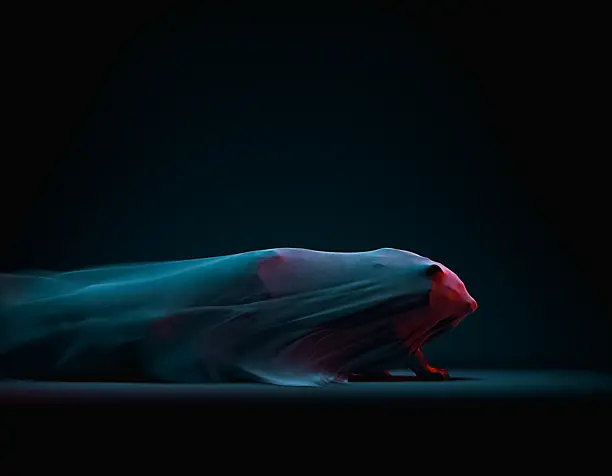 Dark