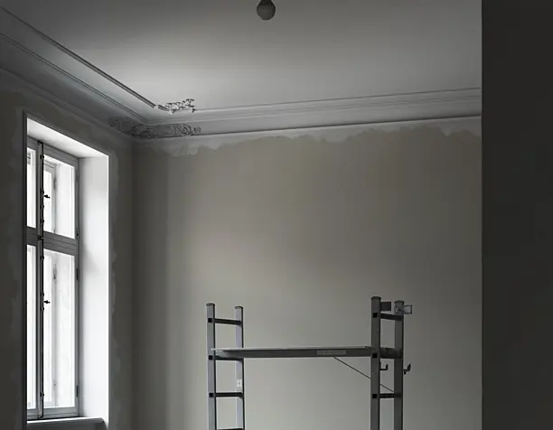 Renovation process