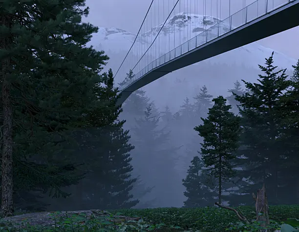 suspension bridge