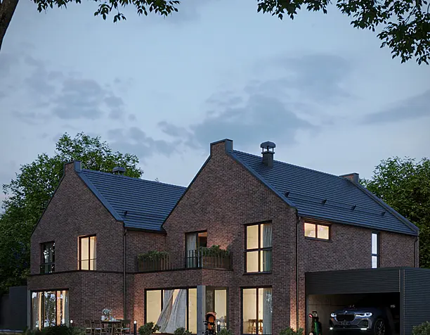 "Exterior Project "House in the forest"