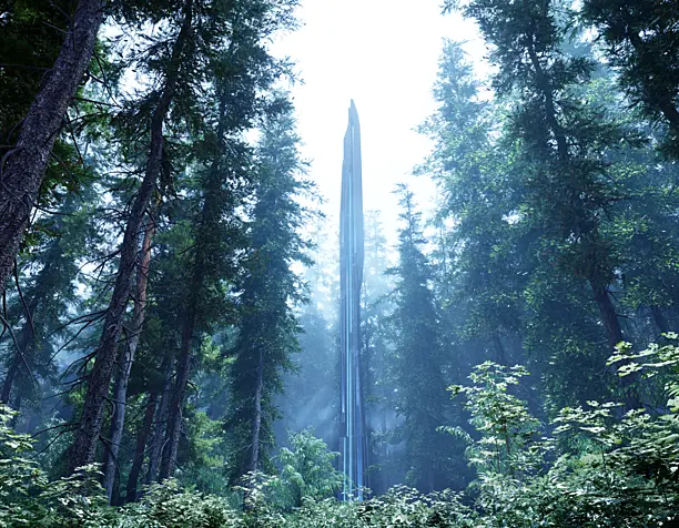 In the woods