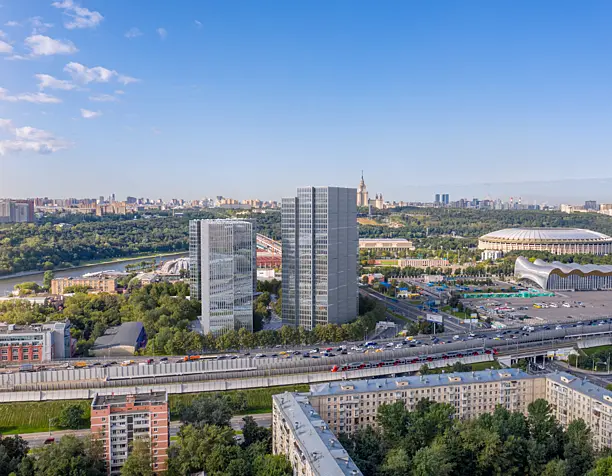 Лужники
