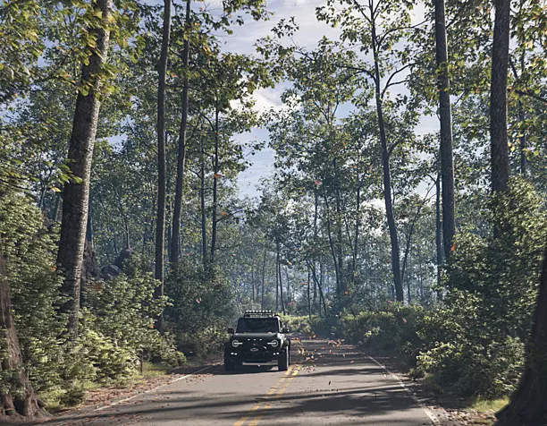 The road in the forest