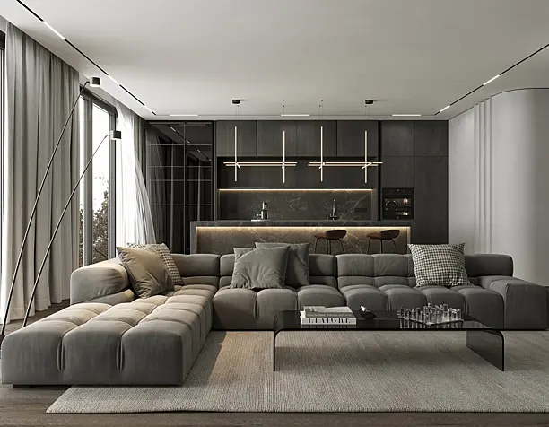 Modern Living room and Kitchen