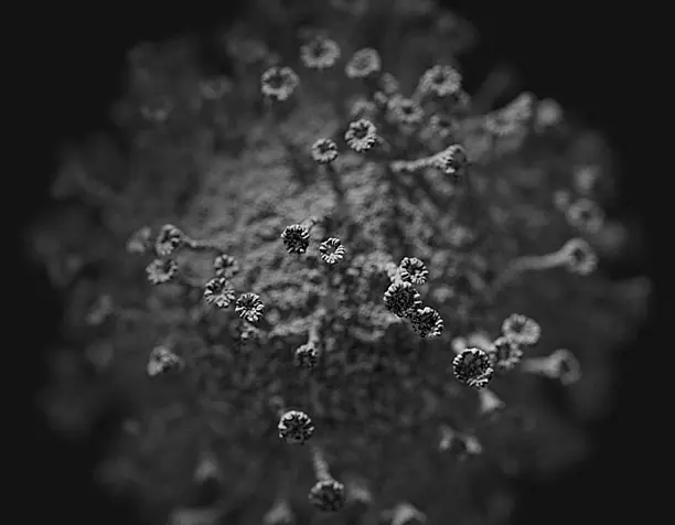 Virus