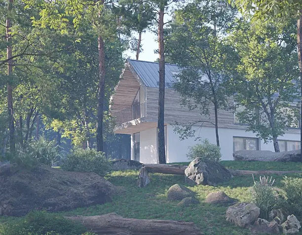 Forest House