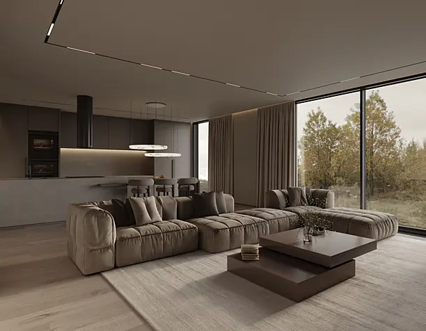 LIving room & kitchen design