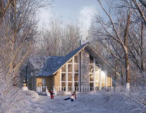 THE SNOW HOUSE