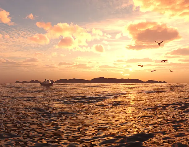 Sunset sea