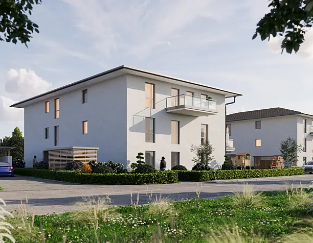 Taypan Visualisation