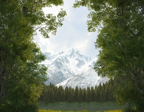 Forest