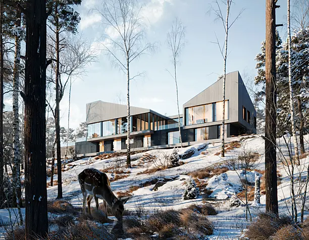 House in snow forest 2024
