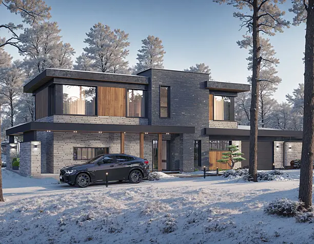 Winter house