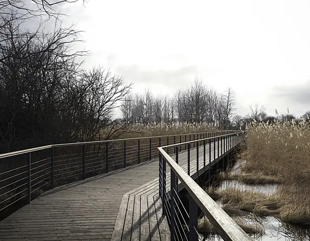 Bridge