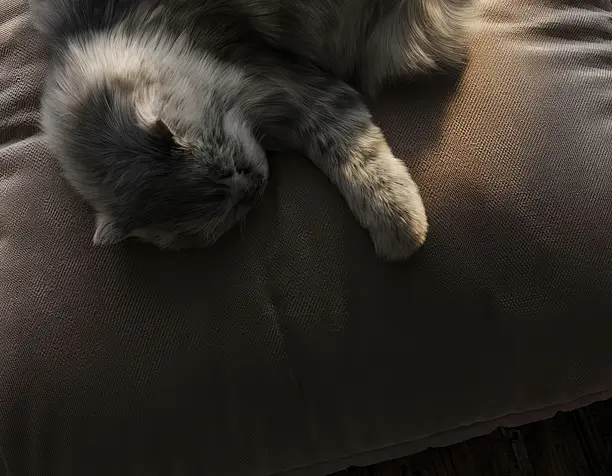 Winter Mood