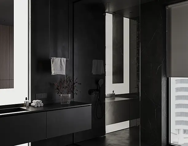 Contemporary dark bathroom
