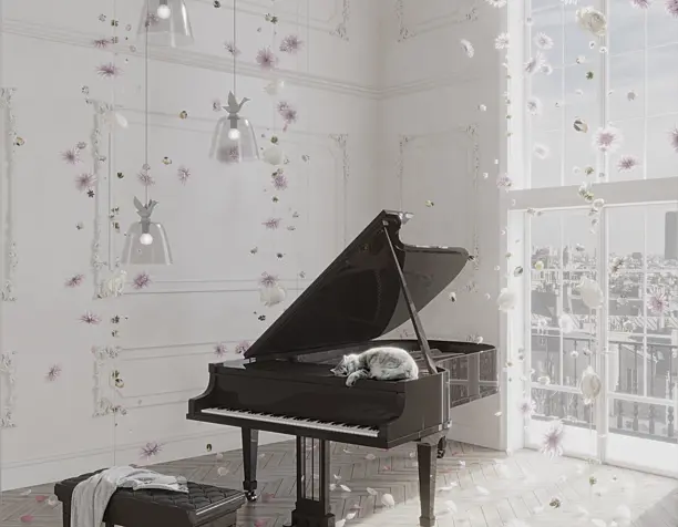 flowers, music and cat