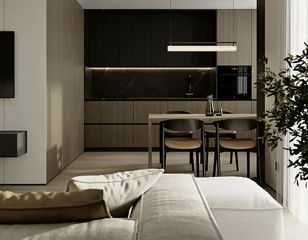 Living room and Kitchen