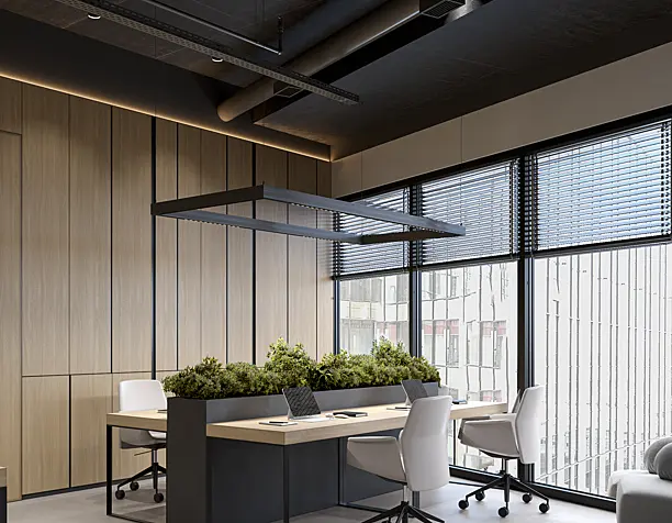 Ofis interiror design. Trilliant