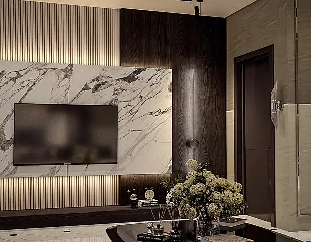 Modern Luxury living room