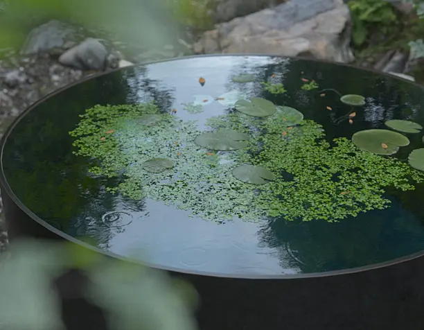 Circle Water Pool
