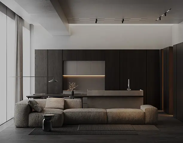 Minimalistic apartments