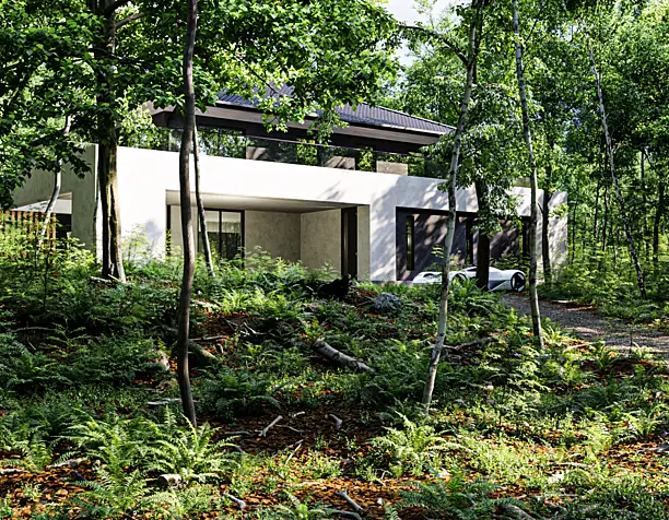 Forest Vizulation  the year 2030