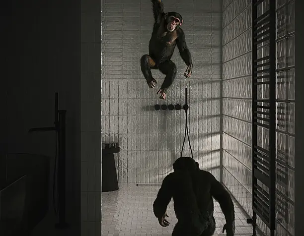 12 monkeys