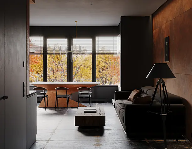 Living room & kitchen in the apartment
