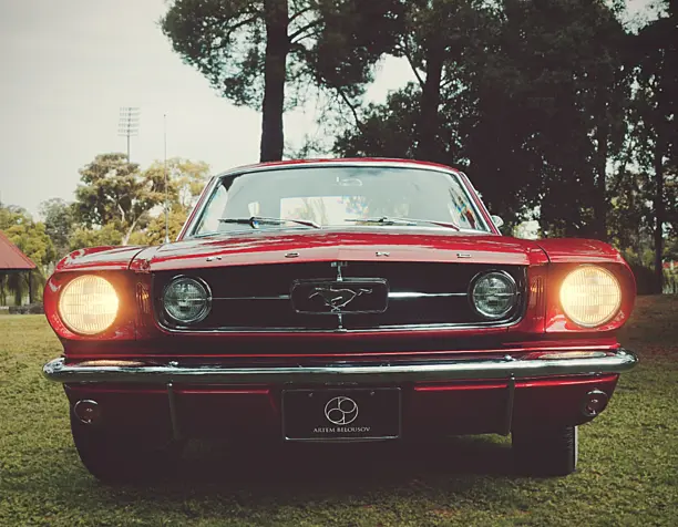 CLASSIC PONY CAR _ FORD MUSTANG