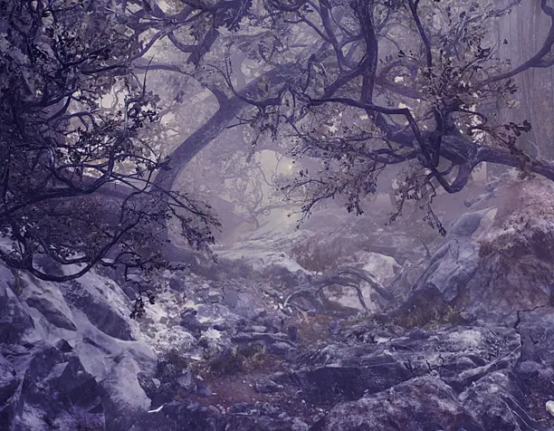 Mystical Forest