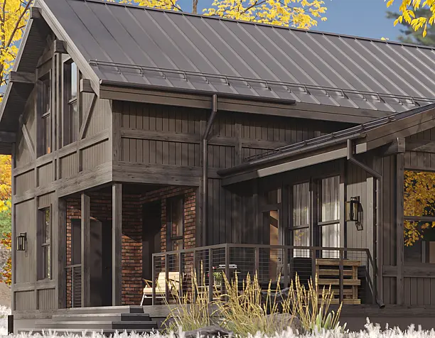 Scandinavian style house