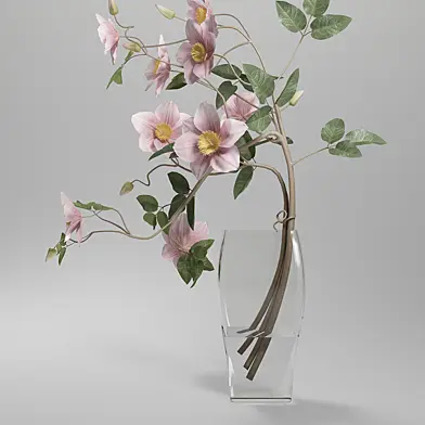 Vase Clematis.