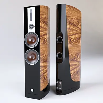 Dali Epicon 6