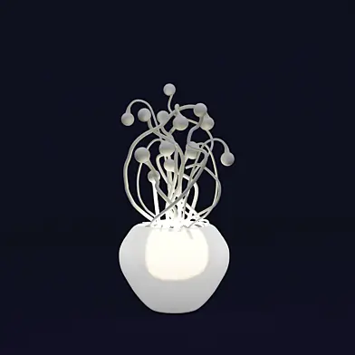Spermatozoi Collection