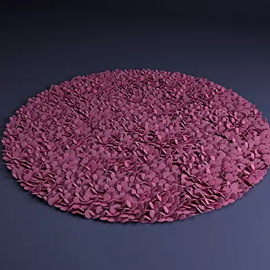 Carpet Circle