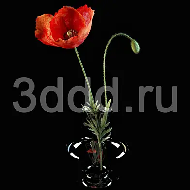 DDD FLOWERS