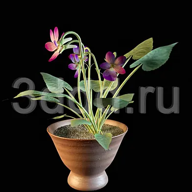 DDD FLOWERS