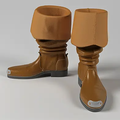 Сапоги