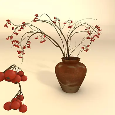 Sorbus aucuparia