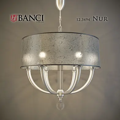 Banci Nur 3494