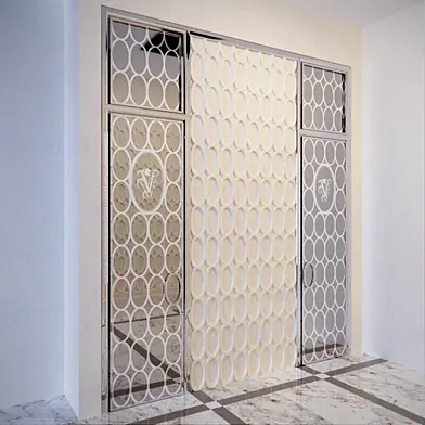 дверь visionnare