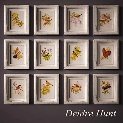 Птицы Австралии. Иллюстратор Deidre Hunt.