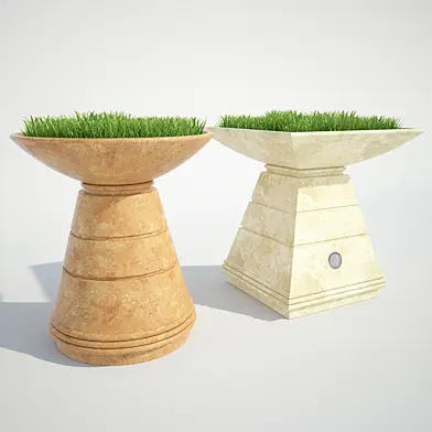 Grass in vase